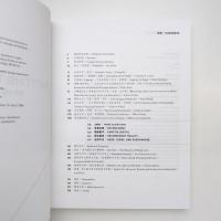 合成時代 Synthetic Times：Media Art China 2008 カタログ