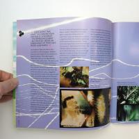 Filter Issue 66：Synchresis