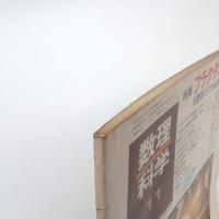 数理科学 1981/11 特集・フラクタル