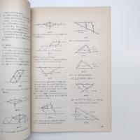 別冊数理科学 パズルⅠ