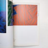 絵画/日本 断層からの出現 カタログ