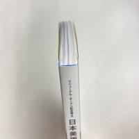 日本美術の裏の裏 図録