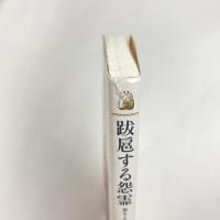跋扈する怨霊 祟りと鎮魂の日本史