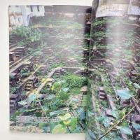 建築探訪9 インド地底紀行