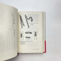 形の全自然誌