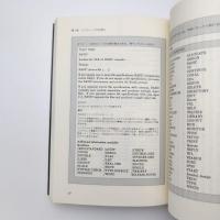 ネットワーク犯罪入門