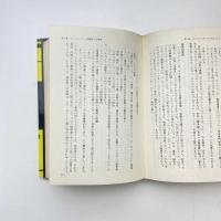 情報犯罪 コンピューター社会のバルネラビリティ