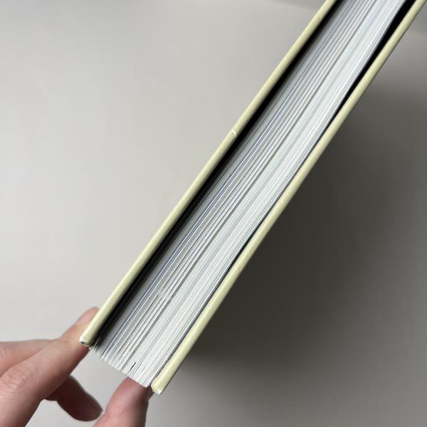 Layout & Background Walt Disney Animation Studios The Archive