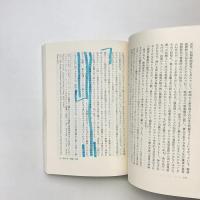 映像論序説〈デジタル/アナログ〉を超えて