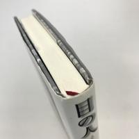 目の人 メディアと言語のあいだを読む