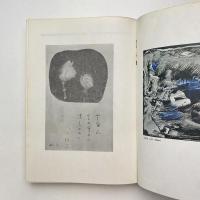 現代詩手帖 10月臨時増刊号 瀧口修造