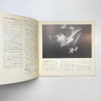 ホログラフィの幻想展 カタログ
