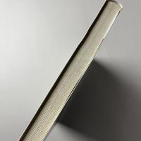 NAGASAWA Ombra di angelo 長沢英俊「天使の影」展 図録