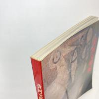 黄河文明展 図録