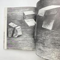 三次元性 ードイツ彫刻の現在 展示図録