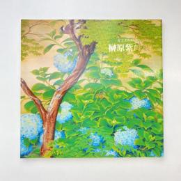 足立美術館 榊原紫峰展 図録