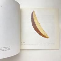 NATURE MATERIAL & IMAGE Contemporary Art From Japan 展示カタログ