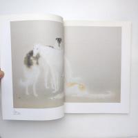 山口華楊回顧展 図録