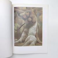 山口華楊回顧展 図録