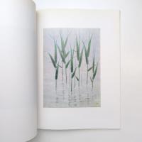 山口華楊回顧展 図録