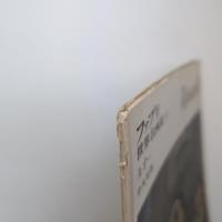 ファブリ 世界名画集 42 ルオー 平凡社版