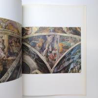 ファブリ 世界名画集 74 ミケランジェロ 平凡社版