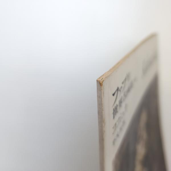 ファブリ 世界名画集 95 ココシュカ 平凡社版(柴田南雄) / 古本