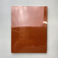 セザンヌ主義 ー父と呼ばれる画家への礼讃 展示カタログ