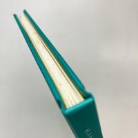 エンツォ・クッキ展 展覧会図録