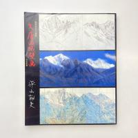 薬師寺玄奘三蔵院 大唐西域壁画 完成記念 平山郁夫 ー大下図・スケッチ帖・素描画・資料展ー 図録