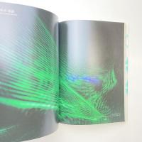 GEIDAI SENTAN 2012 東京藝術大学 先端芸術表現科 卒業・修了制作展 カタログ