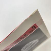 A.N.PRESS vol.9