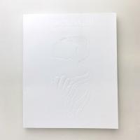 「シャガール ー三次元の世界」展 図録