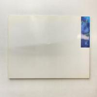 デイヴィッド・ナッシュ展 音威子府の森 カタログ