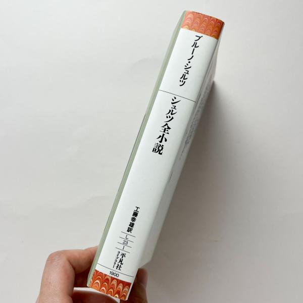 シュルツ全小説(ブルーノ・シュルツ、工藤幸雄訳) / 古本、中古