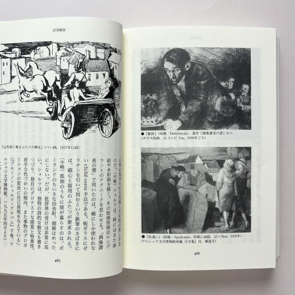 シュルツ全小説(ブルーノ・シュルツ、工藤幸雄訳) / 古本、中古