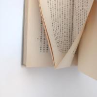 名著復刻 漱石文学館 文学論 大倉書店版