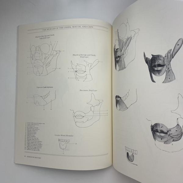 Albinus on Anatomy(Robert Beverly Hale, Terence Coyle) / 古本