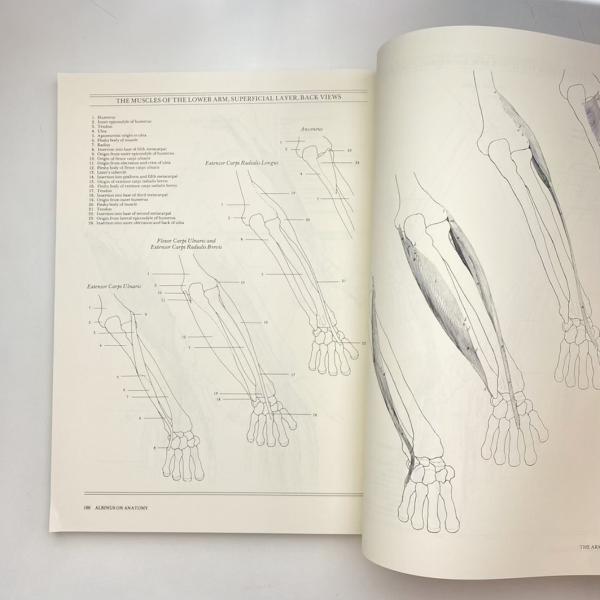 Albinus on Anatomy(Robert Beverly Hale, Terence Coyle) / 古本