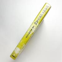 日清戦争従軍写真帖：伯爵亀井これ明の日記