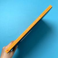 Subtraction :Aspects of Essential Design