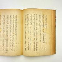 夏目漱石全集 第十四巻 道草