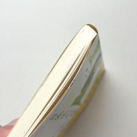 Ｓ先生の言葉