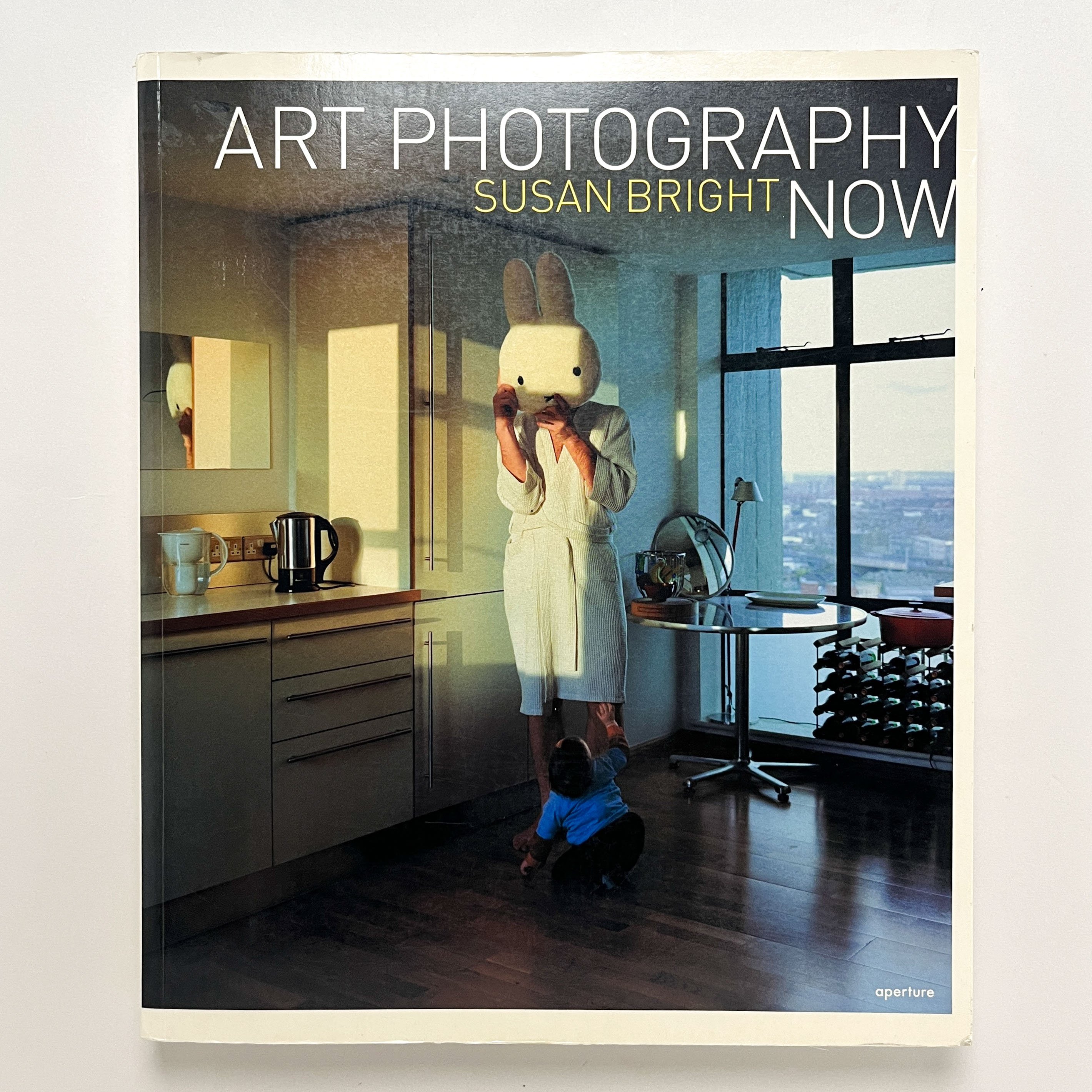 Art Photography Now | Susan Bright | ¥1,500 - 日本の古本屋 / 日本