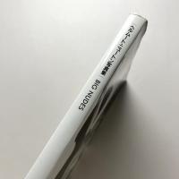ヘルムート・ニュートン写真集 BIG NUDES