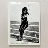 ヘルムート・ニュートン写真集 BIG NUDES