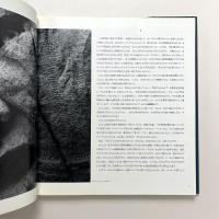 Nightmares In The Sky（中空の夢魔）