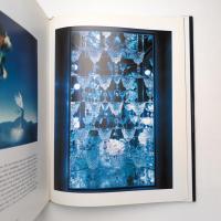 Windows at Tiffany's The Art of Gene Moore