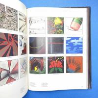 Visual Literacy：A Conceptual Approach to Graphic Problem Solving
