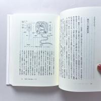 レンマ学